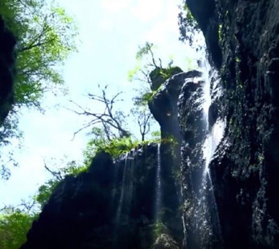 青山綠水，白龍江畔江畔息白鷺，兩岸綠橄欖入眼的都是純樸自然枝上花開(kāi)，春來(lái)水暖魚(yú)蝦戲水，鳥(niǎo)語(yǔ)花香心中充滿(mǎn)著舒暢之感祥宇生態(tài)產(chǎn)業(yè)園，位于隴南市武..